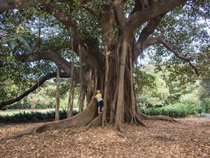 EA Given Shutterstock.jpg