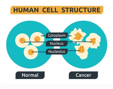 Screenshot 2022-02-12 012249.jpg