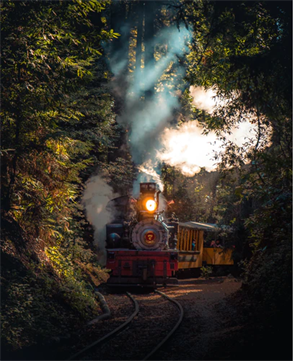 Bepin's journey toward Ranchi.png