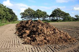 512px-Pile_of_manure_on_a_field.jpg