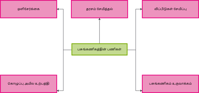 YCIND20220821_4317_Plant anatomy_02.png