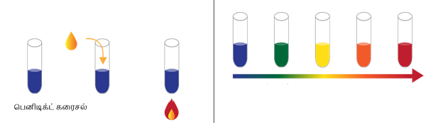 Benedict's test_Shutterstock.png