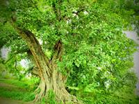 shutterstock_1487365421.jpg