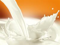 milk2.jpg