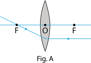 YCIND_220926_4499_Light reflection and Refraction_13.png