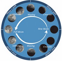 phasesmoon.jpg