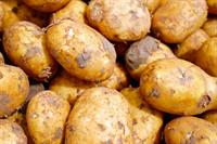 potatoes-2329648_960_720.jpg