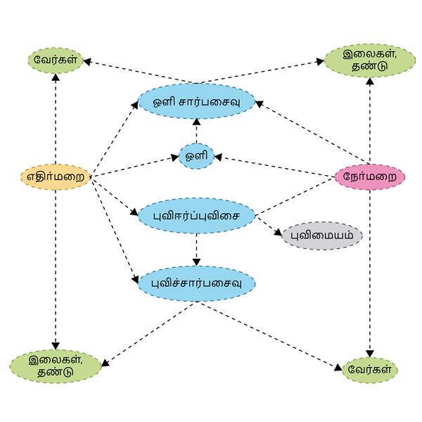 YCIND20220615_3910_Plant Physiology_01-01.jpg