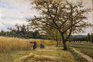 countryside farm.jpg