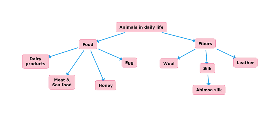 Animals in daily life.png