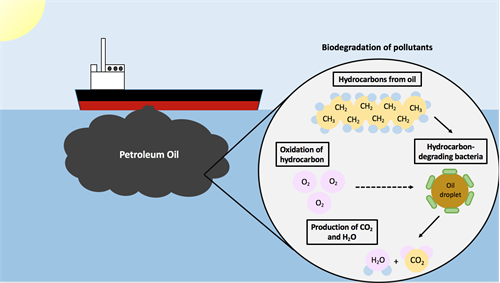 Biodegradation_of_Pollutants.png