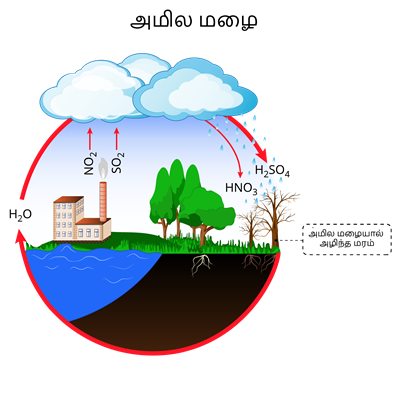 YCIND20220615_3918_Acid Rain-01.png