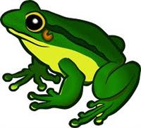 frog1.jpg