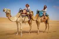 camel-4785794_960_720.jpg