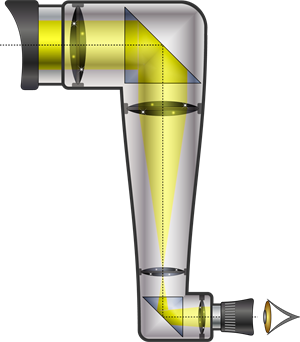 shutterstock_439908595 (1).png