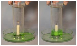 BeFunky-collage (1).jpg