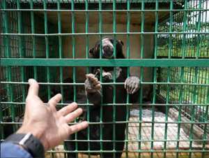 reunion 2021-01-04 151348.png