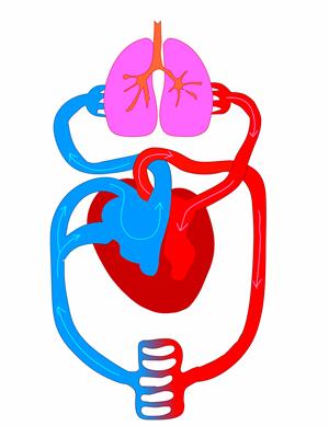 YCIND20220901_4399_Movements in animals_10 (1).jpg