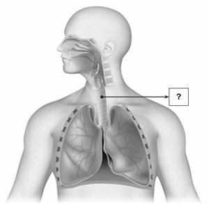 Design - YC IND (4).png