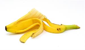 banana-peel-3404376_960_720.jpg