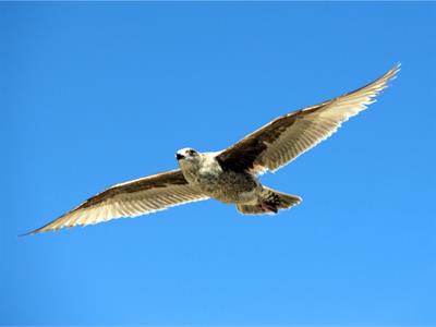 YCIND20220901_4399_Movements in animals_09.jpg