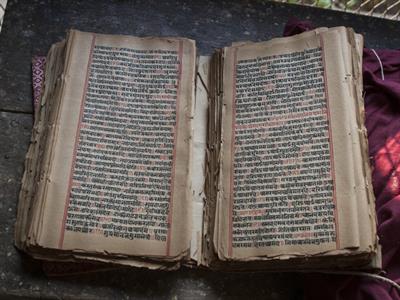 bodom Shutterstock.jpg