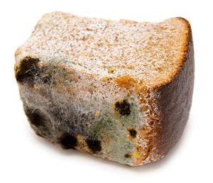 shutterstock_88819075.jpg