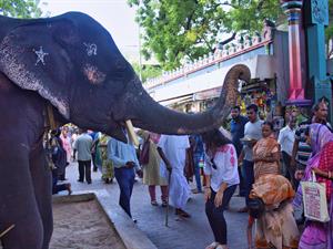 Arpan Bhatia Shutterstock.jpg