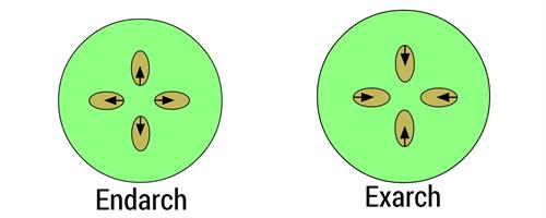 BeFunky-collage (52).jpg