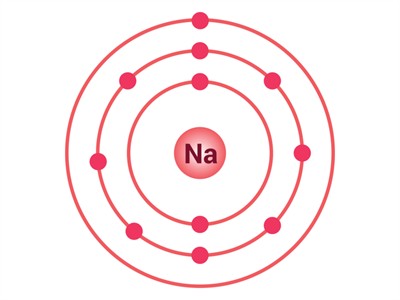 shutterstock1933388447.jpg