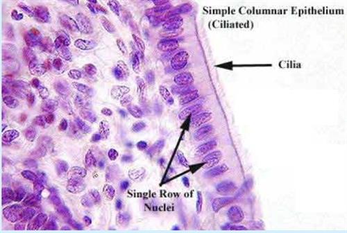 Screenshot 2021-04-27 160734.jpg