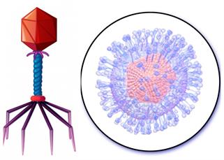 BeFunky-collage (21).jpg