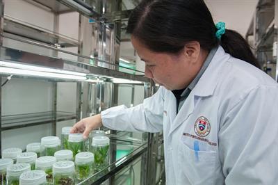 plant-tissue-culture-facility-2223463_960_720.jpg
