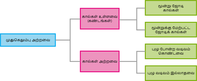 YCIND20220725_4041_Basis of classification_06.png