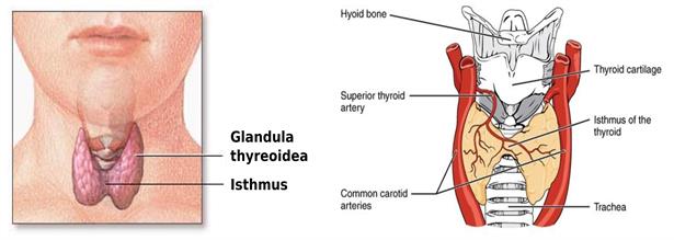 BeFunky-collage (77).jpg