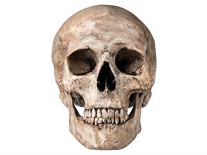 shutterstock_194829002.jpg