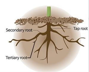 Screenshot 2021-06-05 230215.jpg