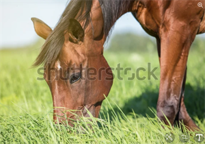 Screenshot 2022-10-30 212040.png