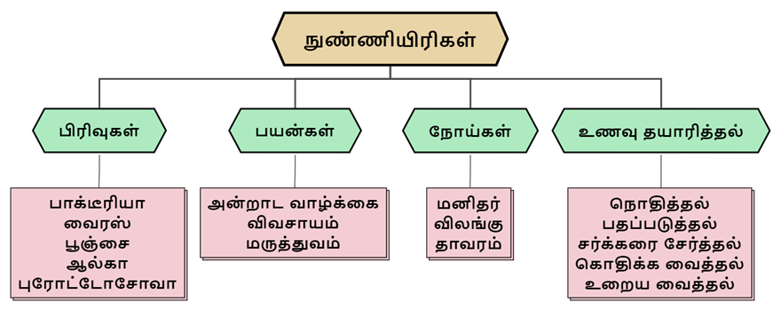 நுண்ணியிரிகள்1 .png
