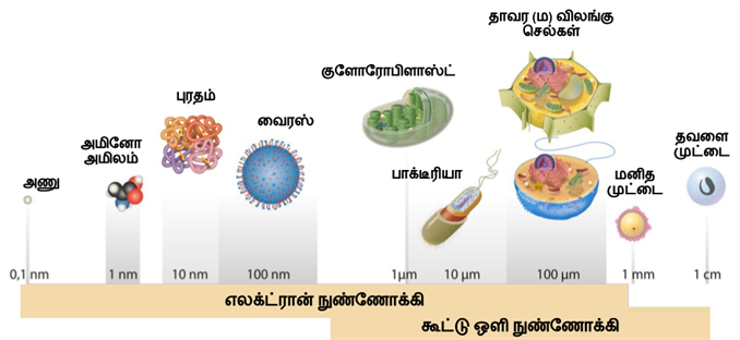 Design - YC IND (6).png