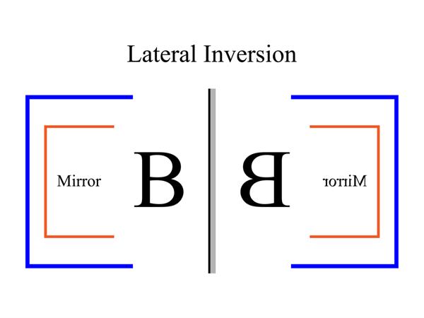 Lateral Inversion Police Lateral inversion β lesson. Science CBSE, Class 7.