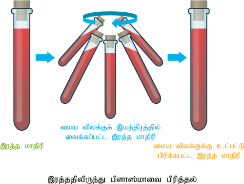 YCIND22052022_3759_Ramamoorthi - Matter around us (Tamil 9th 2)_10.png
