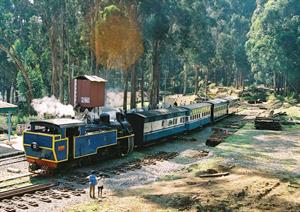 Ooty train.jpeg