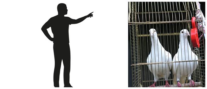 BeFunky-collage (29).jpg