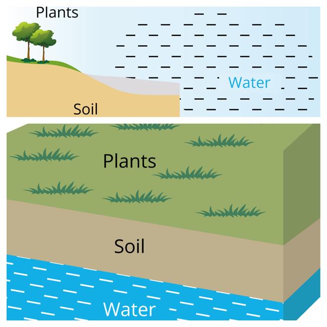 BeFunky-collage - 2023-08-02T142619.126.jpg