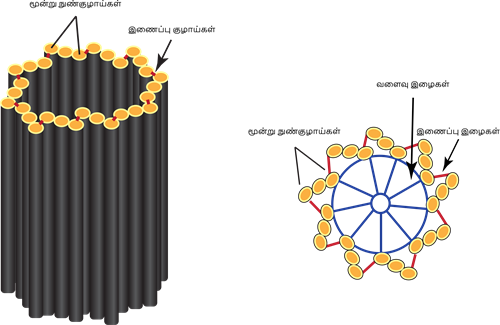 YCIND20220803_4053_Cell Biology_08.png