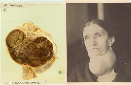 BeFunky-collage (19).png