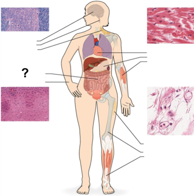 Design - YC IND (39).png