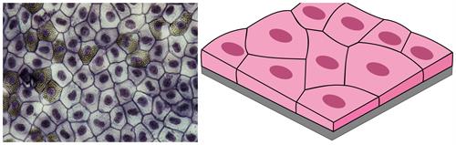 BeFunky-collage (35).jpg