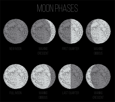 phase1.png